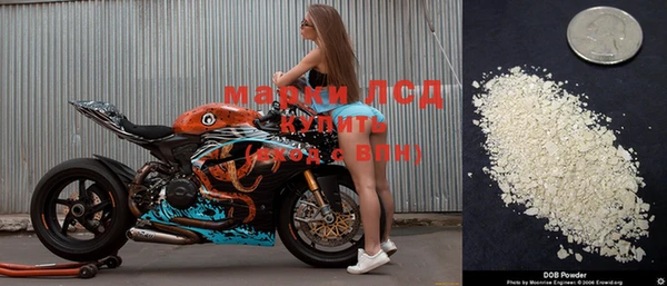 хмурый Алексеевка