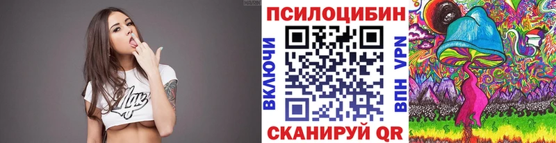 Псилоцибиновые грибы Psilocybe  Лаишево 